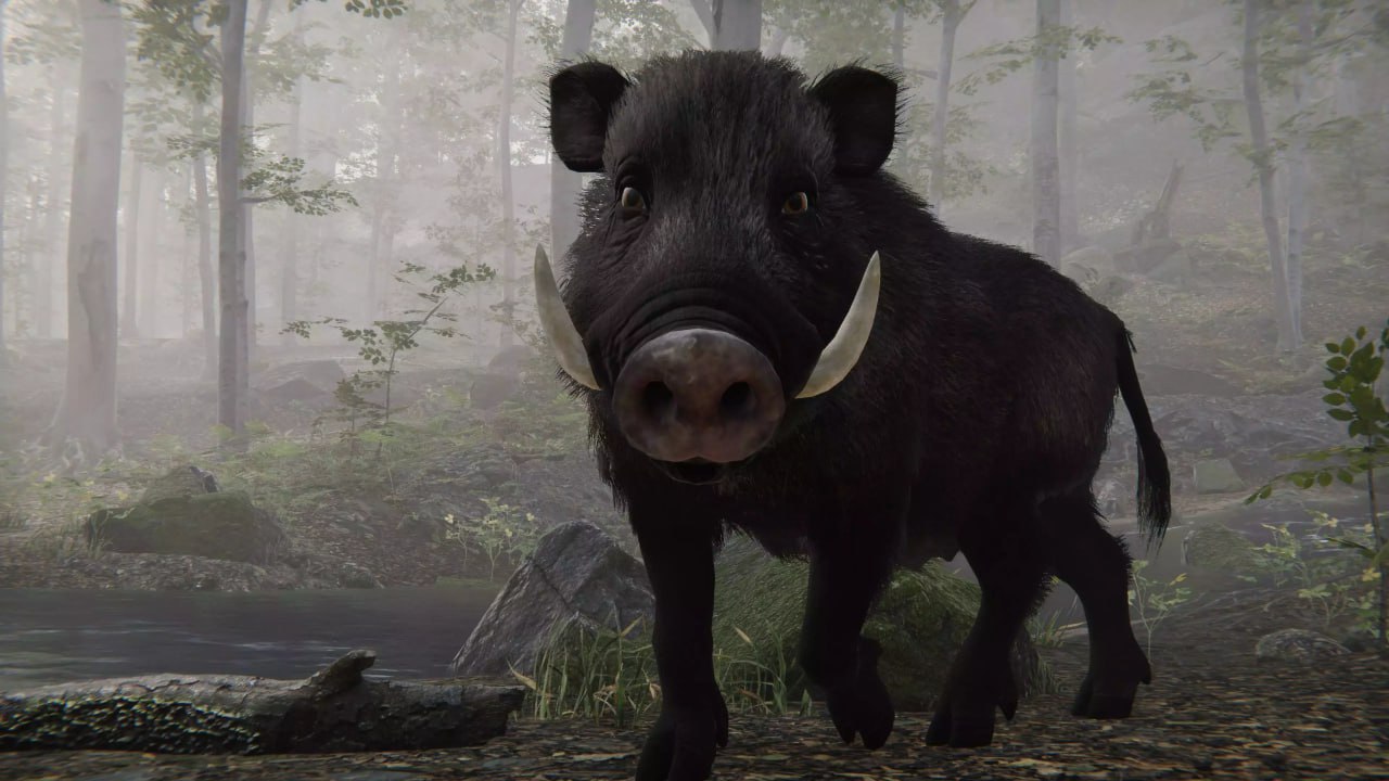 Realistic Boars📱 - изображение 4